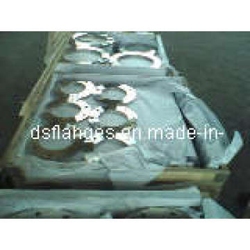 DIN2573 PN6 Flanges